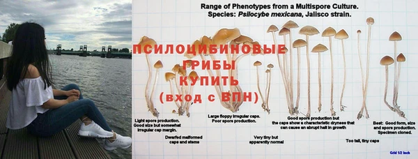 экстази Верхнеуральск